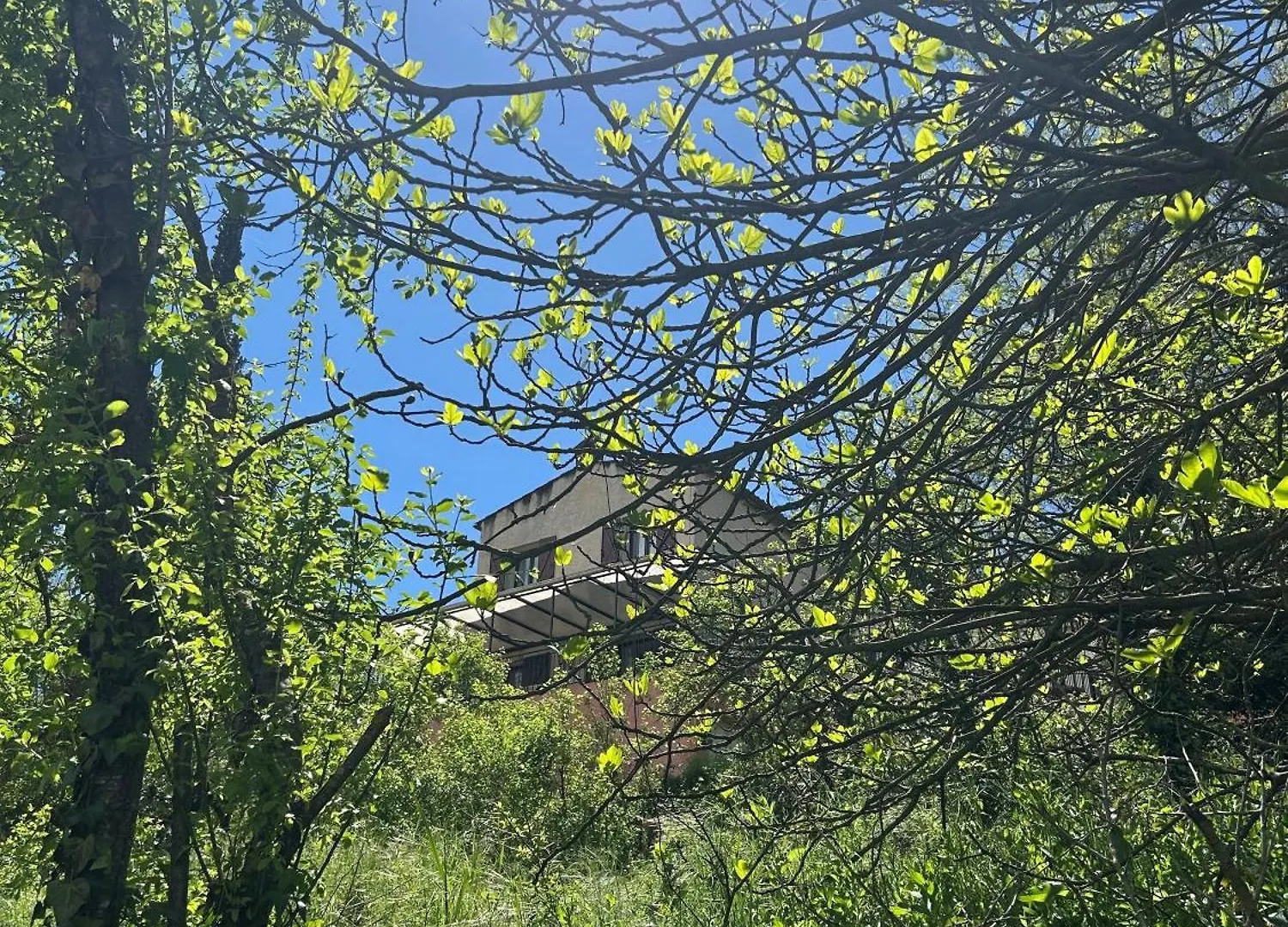 Holiday home Les 4 Cypres Villa Contes